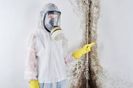 Best Mold Removal for HVAC Installations in Auburn, WA